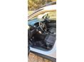 CITROEN C3 AIRCROSS 2018/10 - 5