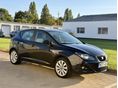 SEAT IBIZA 2009/3 - 2