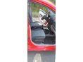 KIA PICANTO 2006/6 - 9
