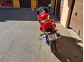 YAMAHA SZR 660 1998/5 - 2