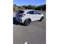 FORD PUMA 2022/7 - 3