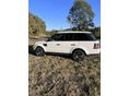 LAND ROVER RANGE ROVER SPORT RangeSport 3.0 SDV6 HSE (Automata)