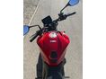 HONDA CB 1000 HORNET 2024 - 9