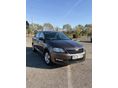 SKODA RAPID 1.0 TSI Family