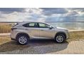LEXUS NX 2021/6 - 1