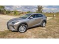 LEXUS NX 2021/6 - 2