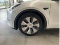 TESLA MODEL Y 2023/6 - 12