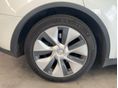 TESLA MODEL Y 2023/6 - 22