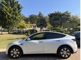 TESLA MODEL Y 2024/4 - 7