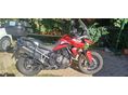 TRIUMPH TIGER 900 2021/3 - 1