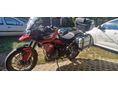 TRIUMPH TIGER 900 2021/3 - 2