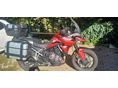 TRIUMPH TIGER 900 2021/3 - 3