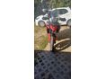 TRIUMPH TIGER 900 2021/3 - 4
