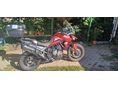 TRIUMPH TIGER 900 2021/3 - 5