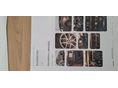 ALFA ROMEO STELVIO 2017/3 - 11