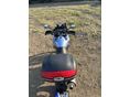 SUZUKI DL 650 2006/8 - 8