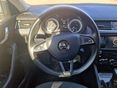SKODA OCTAVIA 2019/11 - 6