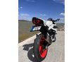 CFMOTO 450 SR 2025/10 - 4