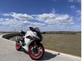CFMOTO 450 SR 2025/10 - 1
