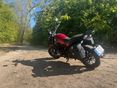 BENELLI LEONCINO 500 2018/9 - 2