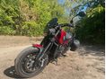 BENELLI LEONCINO 500 2018/9 - 3