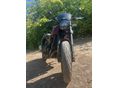 BENELLI LEONCINO 500 2018/9 - 4