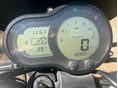 BENELLI LEONCINO 500 2018/9 - 6