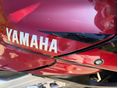 YAMAHA TDM 850 1999/9 - 6