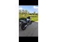 HONDA CB 600 F (HORNET) 2000/9 - 5