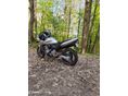 HONDA CB 600 F (HORNET) 2000/9 - 6