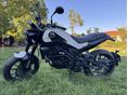 BENELLI LEONCINO 250 2020/10 - 1