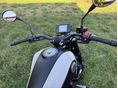 BENELLI LEONCINO 250 2020/10 - 4