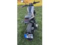 BENELLI LEONCINO 250 2020/10 - 7