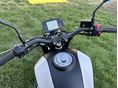 BENELLI LEONCINO 250 2020/10 - 10