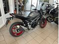 SUZUKI SV 650 N 2023 - 2