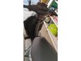 MOTOWELL CROGEN 2018/6 - 8
