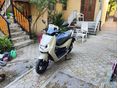 NIU NIU FQI 500 2026/6 - 1