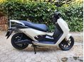 NIU NIU FQI 500 2026/6 - 3