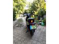 NIU NIU FQI 500 2026/6 - 5