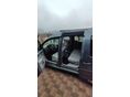 VOLKSWAGEN CADDY LIFE 2008/9 - 5