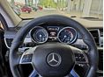 MERCEDES-BENZ ML 250 2013/10 - 22