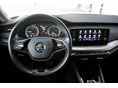 SKODA OCTAVIA 2021/7 - 8