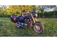 SACHS ROADSTER 800 2001 - 2