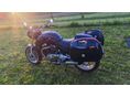 SACHS ROADSTER 800 2001 - 3