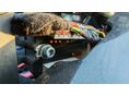 SACHS ROADSTER 800 2001 - 8