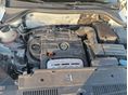 VOLKSWAGEN TIGUAN 2010/1 - 12