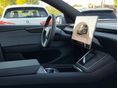 TESLA MODEL Y 2026/9 - 19