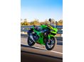 KAWASAKI NINJA 500 2024 - 2