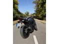 SUZUKI SV 650 X 2018 - 3