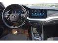 SKODA OCTAVIA 2022/1 - 2